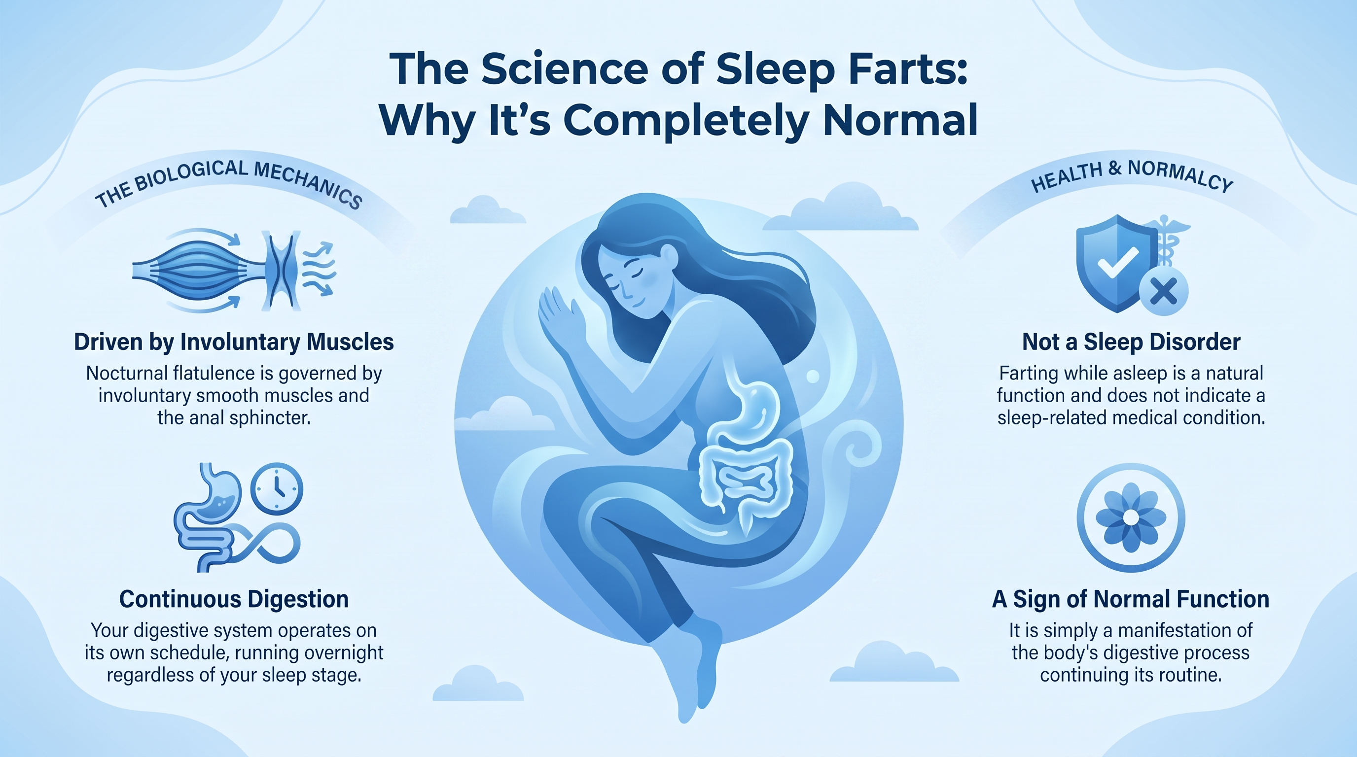 Can You Fart in Your Sleep — infographic