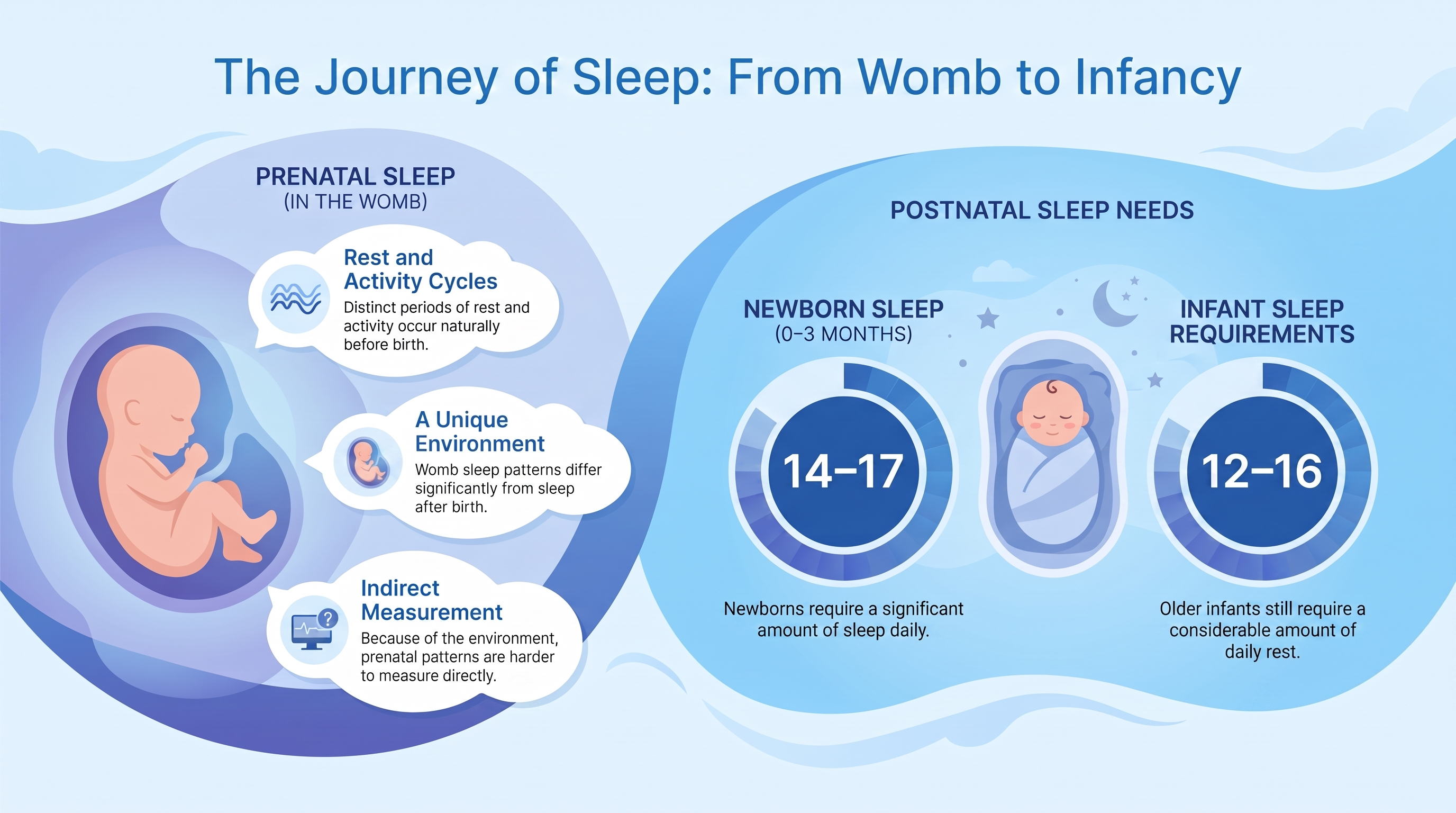 Do Babies Sleep in the Womb — infographic